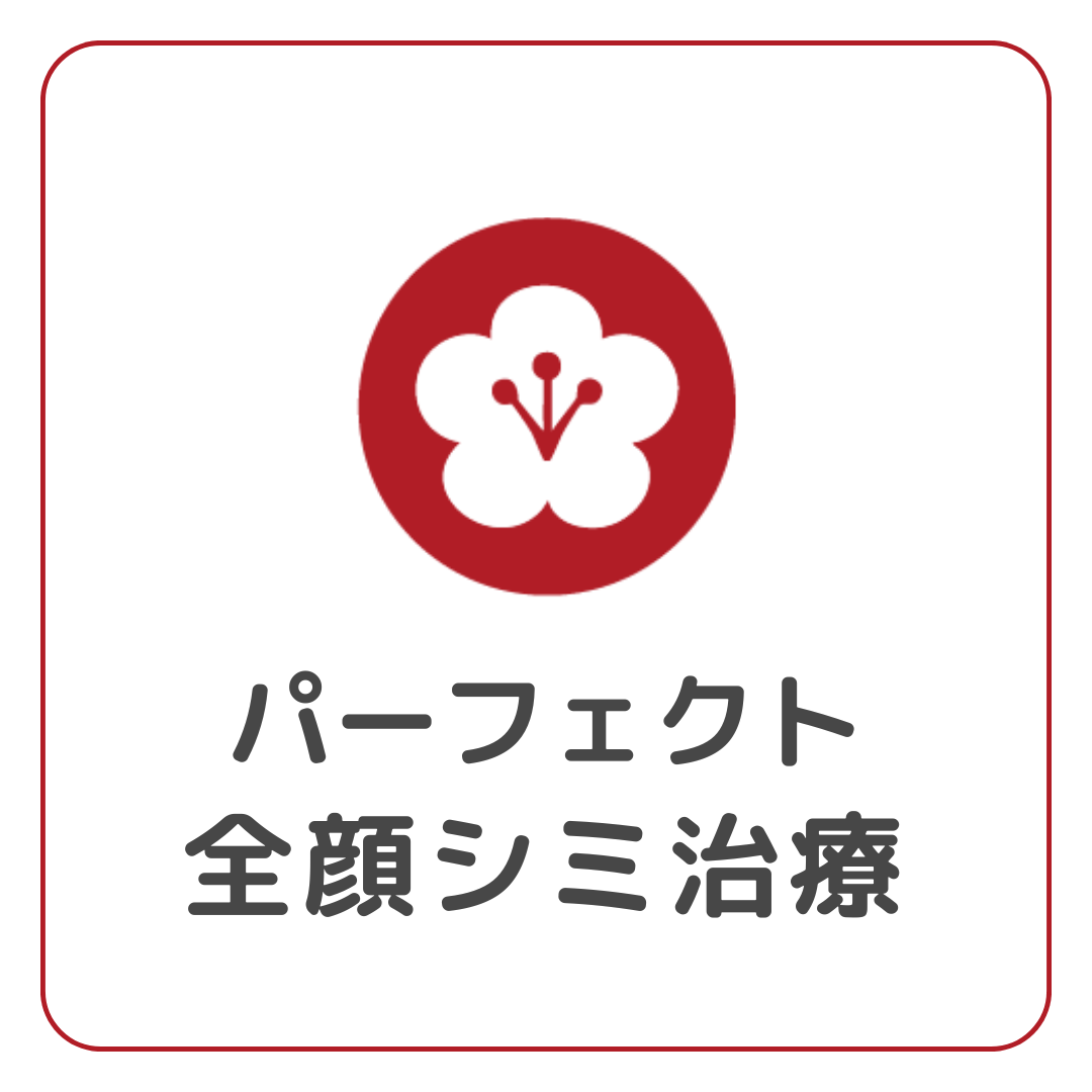 パーフェクト全顔シミ治療
