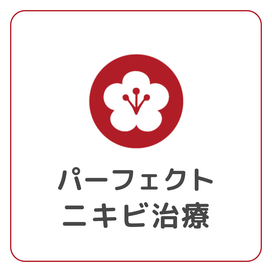 パーフェクトニキビ治療